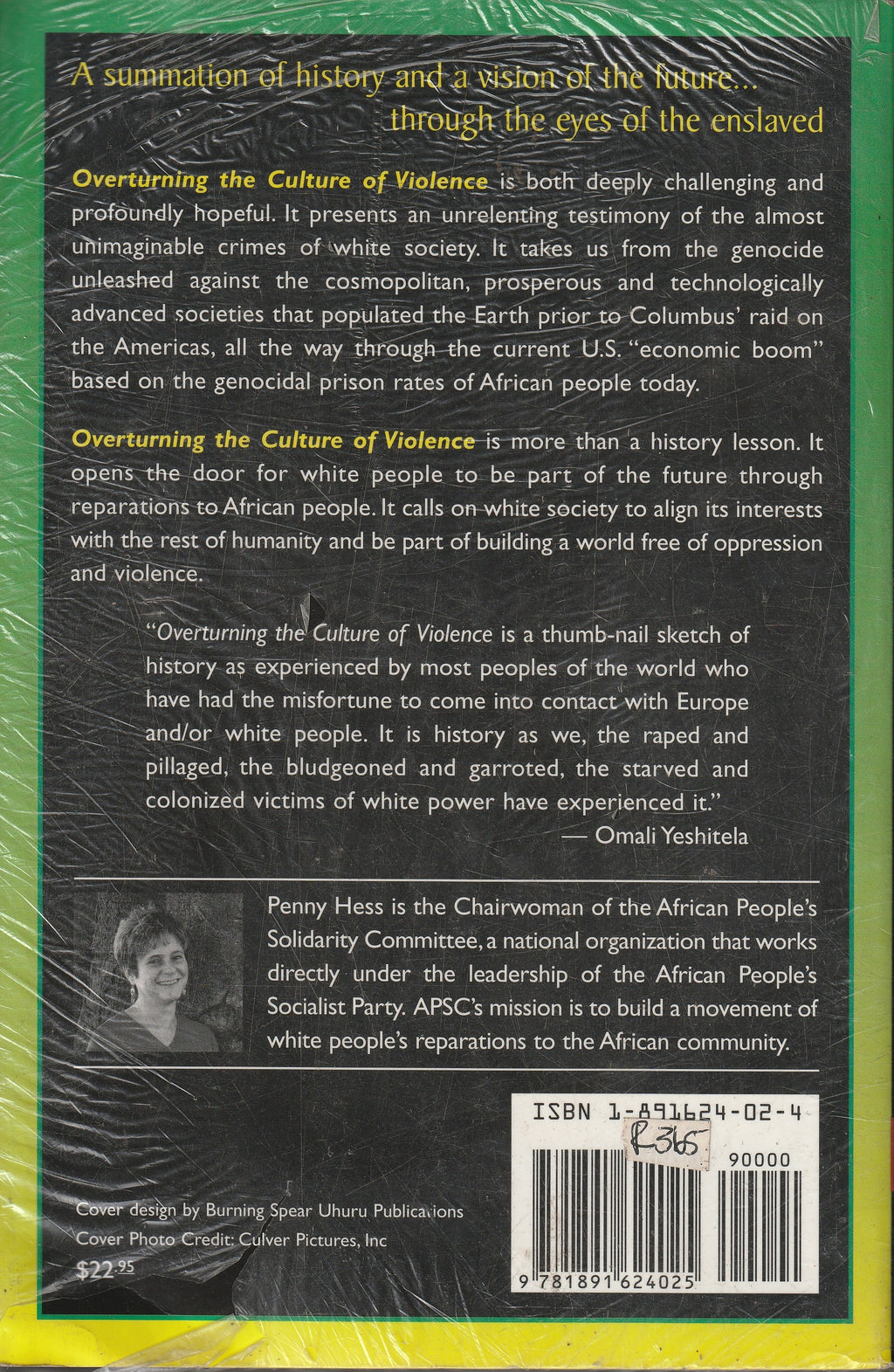 Overturning the Culture of Violence by Penny Hess
