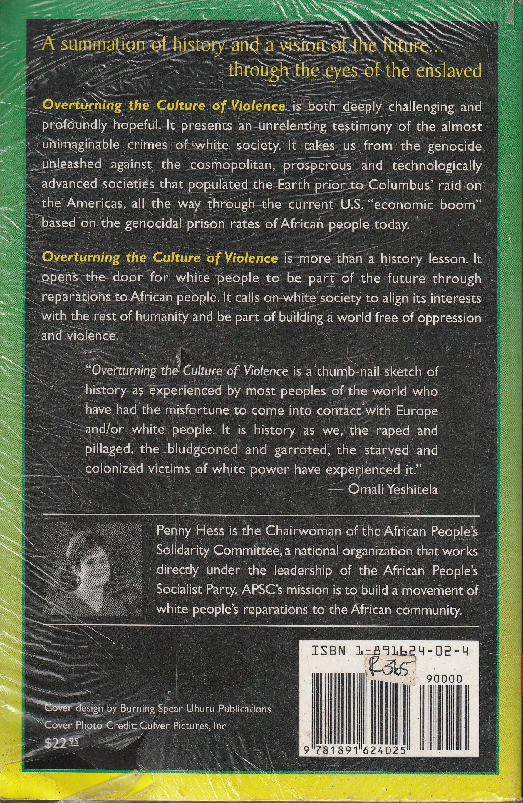 Overturning the Culture of Violence by Penny Hess