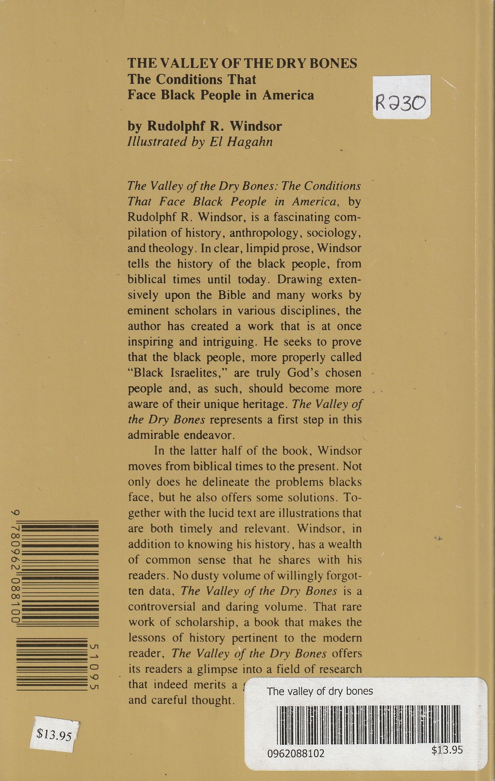 The Valley of the Dry Bones: The Conditions That Face Black People in America by Rudolphf R. Windsor